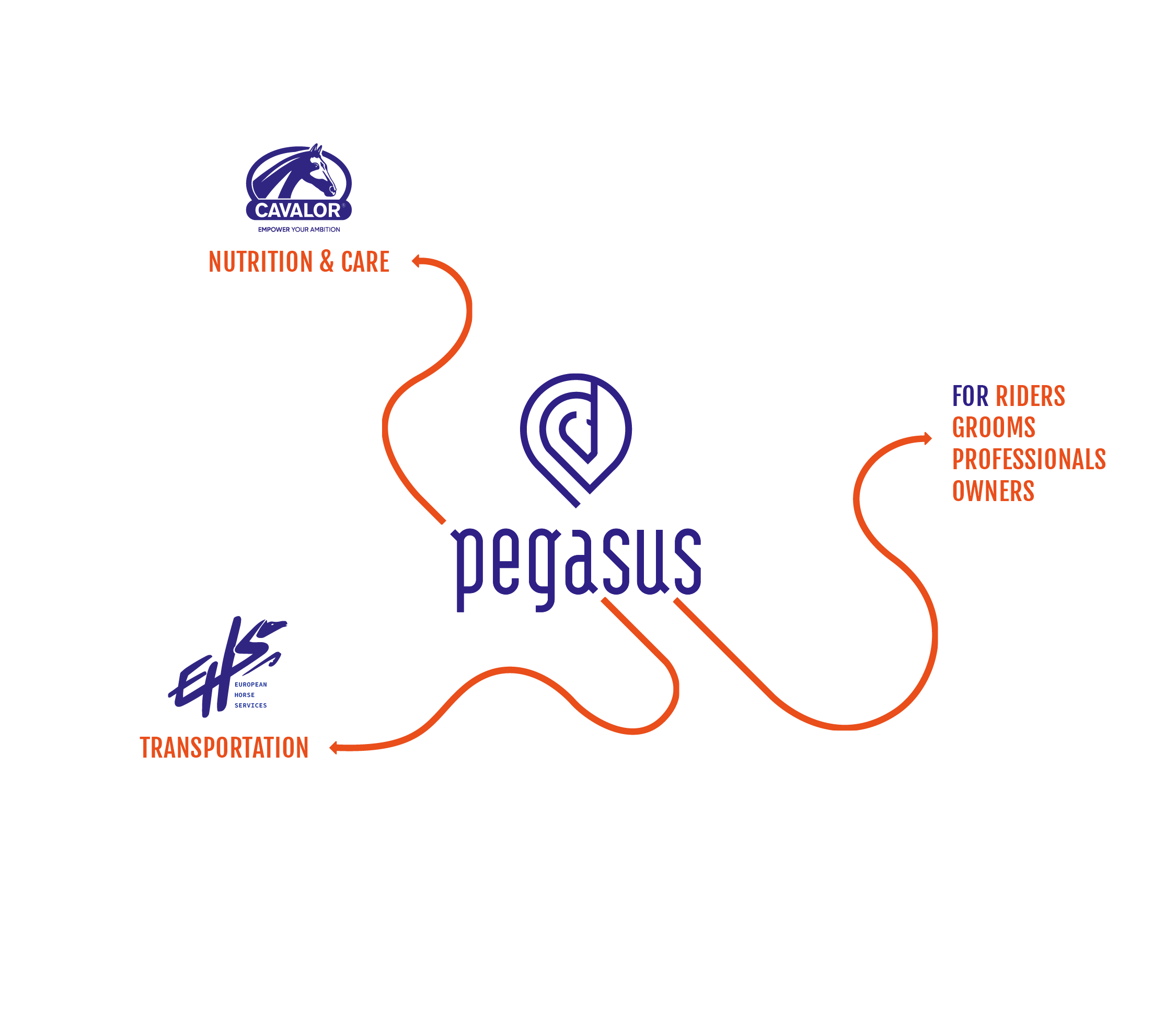 Pegasus